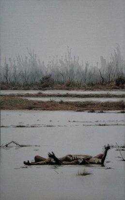 Limbs, by Lisa Lebofsky, 2008, oil on aluminum