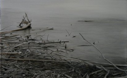 by Lisa Lebofsky