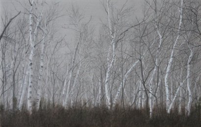 by Lisa Lebofsky