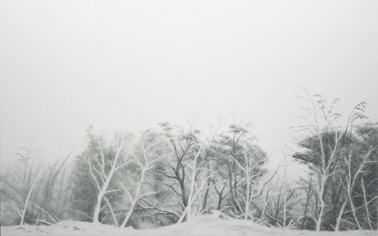 Tormenta de Nieve, by Lisa Lebofsky, 2011, Oil on polymetal