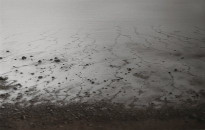 Withdrawn Advancement, by Lisa Lebofsky, 2010, Oil on aluminum