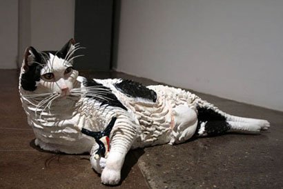Fat Cat, by Jeremy Leichman, 2008, oil paint