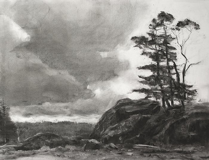 Tree on Rock in Winter, by Nick Lepard, 2015, Charcoal on paper