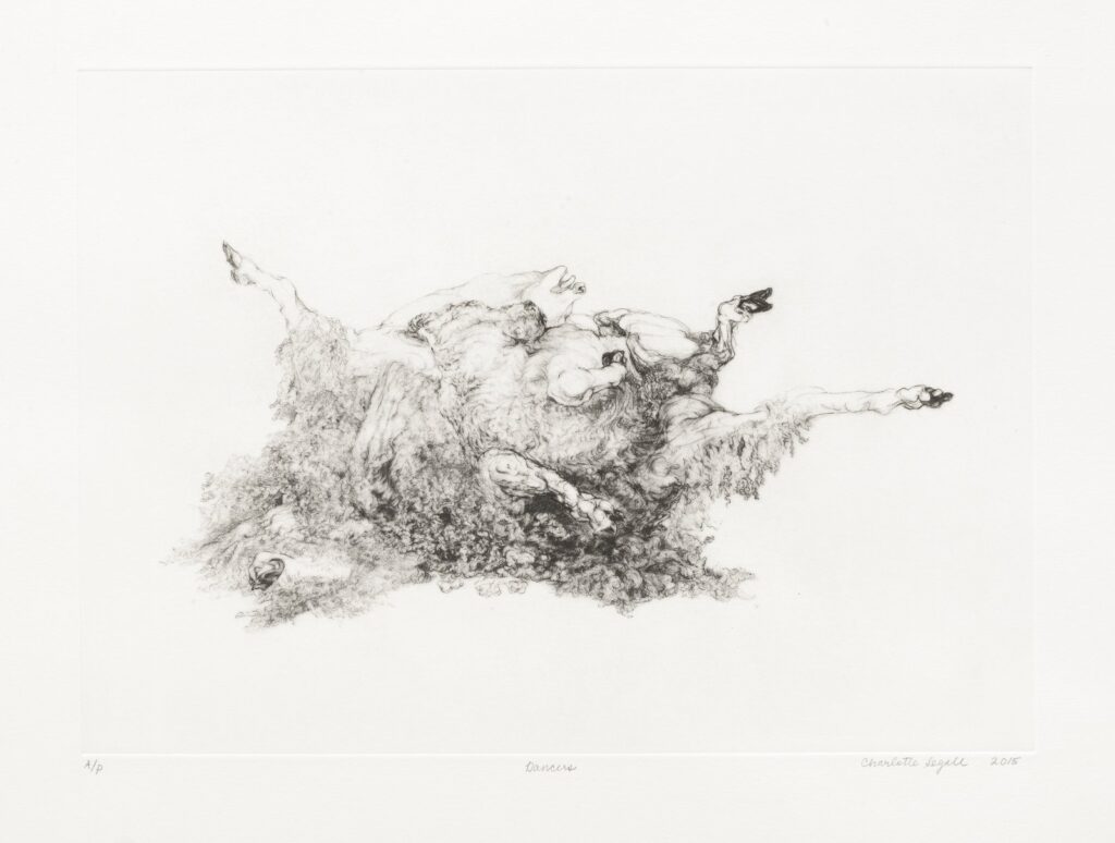 Dancert, by Charlotte Segal, 2015