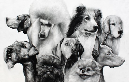 The Dogs Are Back in Town, by Courtney Murphy