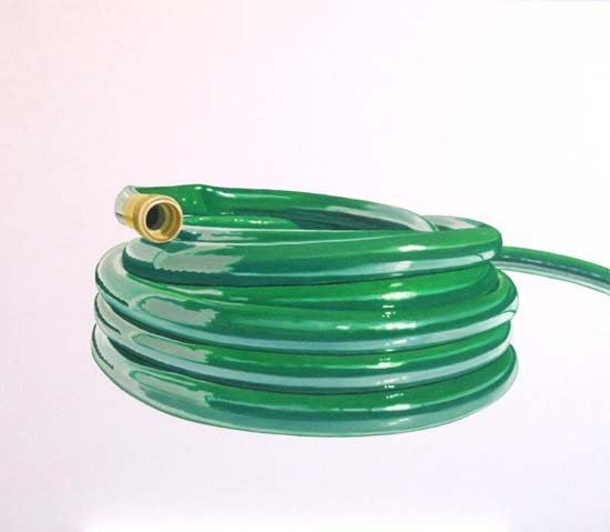 Don't Tread on Me, by Michael Owen, 2011, Oil on PVC panel