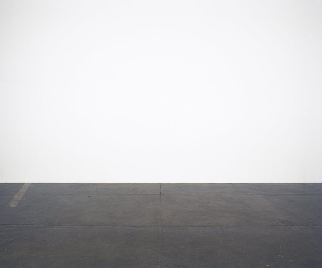 Clifford Owens, Photographs with an Audience: San Antonio (Ted Cruz)