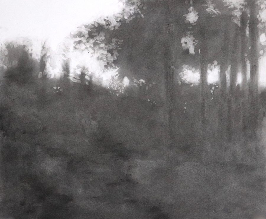 Aperture 5, by Nicholas Sanchez, 2018, Charcoal on paper