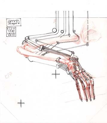 Arm Ape, by Alan Quiros, 2010, Pencil and ink on paper