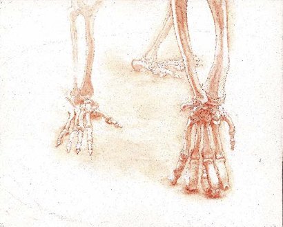 Hands, by Alan Quiros, 2011, pencil on board