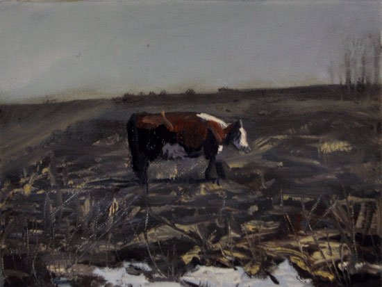 Cow 1, by Nicolas Sanchez, 2012, Oil on canvas