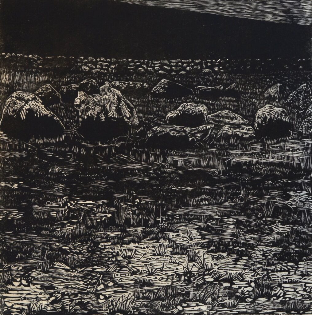 Circle of Stones, by Sarah Schlesinger, 2014