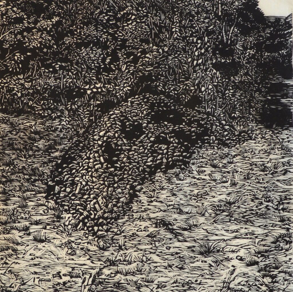 Rock Pile, by Sarah Schlesinger, 2014