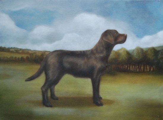 Labrador Retriever, by Emily Slapin Lufkin, 2011, Oil on linen