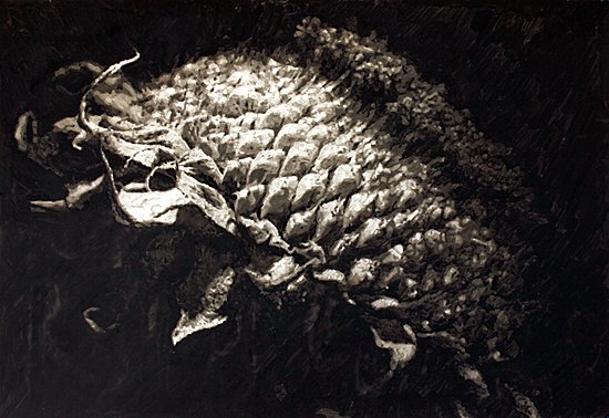 Genesis, by Tyler Vouros, 2013, Charcoal and water on paper mounted to canvas